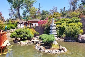 img-20190116-wa0010-01